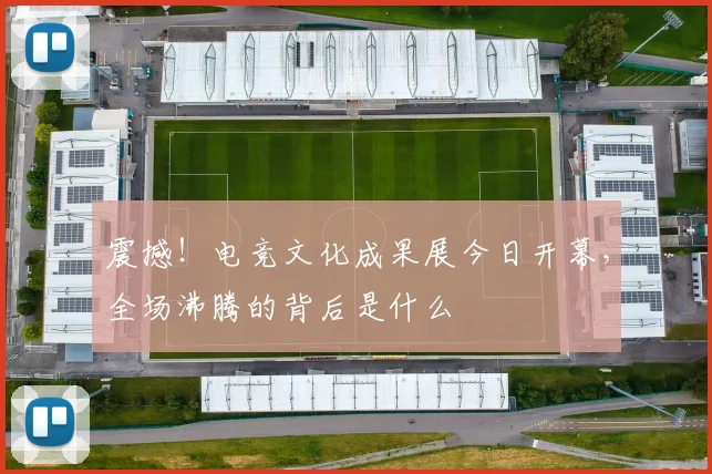 震撼！电竞文化成果展今日开幕，全场沸腾的背后是什么