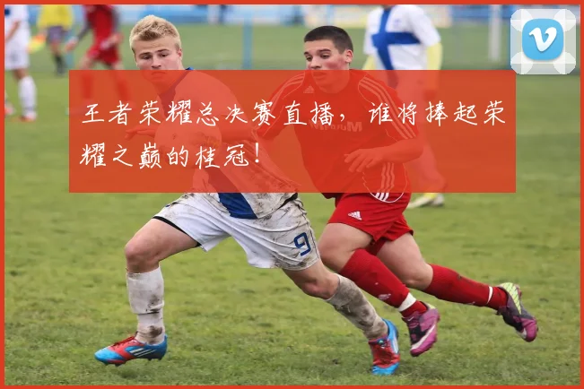 王者荣耀总决赛直播,谁将捧起荣耀之巅的桂冠!